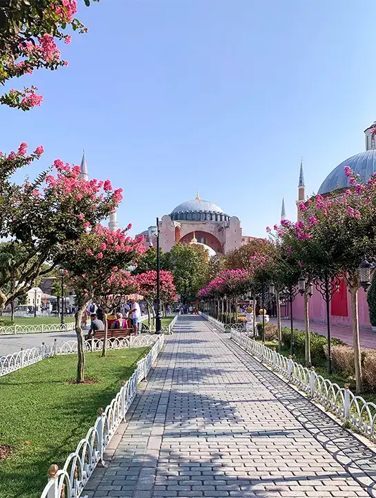 How is Dental Filling Performed in Turkey?